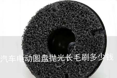 汽車電動(dòng)圓盤拋光長(zhǎng)毛刷多少錢
